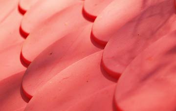 Forest Moor plastic roof costs