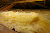 Forest Moor pitch roof insulation